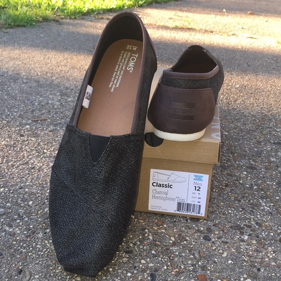 toms size 12 mens